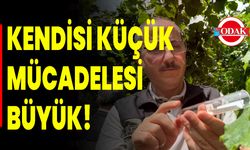Kendisi küçük, mücadelesi büyük