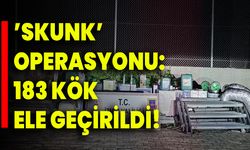 ’Skunk’ Operasyonu: 183 Kök Ele Geçirildi
