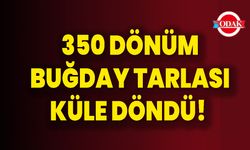350 Dönüm Buğday Tarlası Küle Döndü!