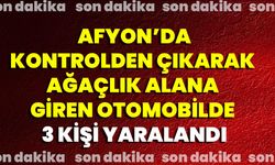 Afyon'da Kontrolden Çıkarak Ağaçlık Alana Giren Otomobilde 3 Kişi Yaralandı