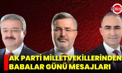 AK Parti Milletvekillerinden Babalar Günü Mesajları