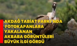 Akdağ Tabiat Parkı’nda fotokapanlara yakalanan akbaba görüntüleri büyük ilgi gördü