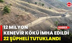 12 Milyon Kenevir Kökü İmha Edildi, 22 Şüpheli Tutuklandı