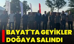 Bayat'ta Geyikler Doğaya Salındı