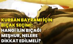 Kurban Bayramı için bıçak seçimi: Hangi ilin bıçağı meşhur, nelere dikkat edilmeli?