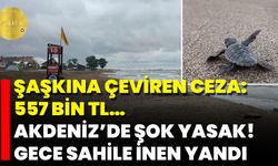 Şaşkına Çeviren Ceza: 557 Bin TL… Akdeniz’de Şok Yasak! Gece Sahile İnen Yandı