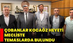 Çobanlar Kocaöz Heyeti, Mecliste Temaslarda Bulundu