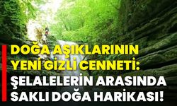 Doğa Aşıklarının Yeni Gizli Cenneti: Şelalelerin Arasında Saklı Doğa Harikası!