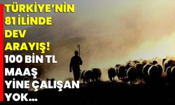 Türkiye’nin 81 İlinde Dev Arayış! 100 Bin TL Maaş, Yine Çalışan Yok…