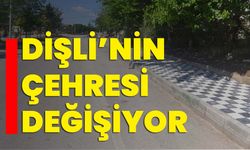 Dişli’nin çehresi değişiyor