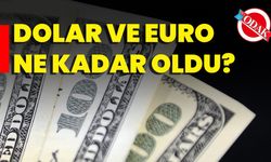 Dolar Ve Euro Ne Kadar Oldu?