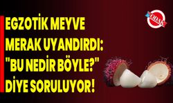 Egzotik Meyve Merak Uyandırdı: "Bu Nedir Böyle?" Diye Soruluyor!