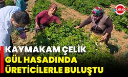 Kaymakam Çelik Gül Hasadında Üreticilerle Buluştu