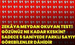 Zekâya Meydan Okuyan Test! Gözünüz Ne Kadar Keskin? Sadece 5 Saniyede Farklı Sayıyı Görebilenler Dâhidir