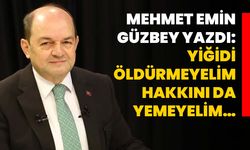 Mehmet Emin Güzbey yazdı: Yiğidi öldürmeyelim, hakkını da yemeyelim…