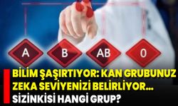 Bilim Şaşırtıyor: Kan Grubunuz Zeka Seviyenizi Belirliyor… Sizinkisi Hangi Grup?