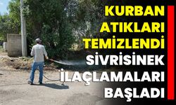 Kurban Atıkları Temizlendi, Sivrisinek İlaçlamaları Başladı