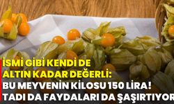 İsmi Gibi Kendi De Altın Kadar Değerli: Bu Meyvenin Kilosu 150 Lira! Tadı Da Faydaları Da Şaşırtıyor