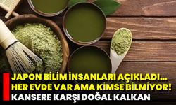 Japon Bilim İnsanları Açıkladı… Her Evde Var Ama Kimse Bilmiyor! Kansere Karşı Doğal Kalkan