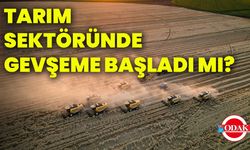 Tarım sektöründe gevşeme başladı mı?