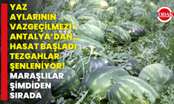 Yaz Aylarının Vazgeçilmezi Antalya’dan… Hasat Başladı, Tezgahlar Şenleniyor! Maraşlılar Şimdiden Sırada