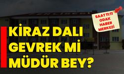 Kiraz Dalı Gevrek mi Müdür Bey?