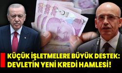 Küçük İşletmelere Büyük Destek: Devletin Yeni Kredi Hamlesi!
