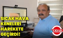 Sıcak hava keneleri harekete geçirdi!