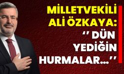 Milletvekili Ali Özkaya: ‘’ Dün Yediğin Hurmalar…’’