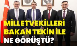 Milletvekilleri Bakan Tekin ile Ne Görüştü?