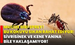 Mucize Gibi Sprey! Bu Kokuyu Sıkan Rahat Ediyor: Sivrisinek Ve Kene Yanına Bile Yaklaşamıyor!