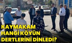 Kaymakam hangi köyün dertlerini dinledi?