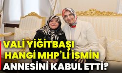 Vali Yiğitbaşı, hangi MHP’li ismin annesini kabul etti?