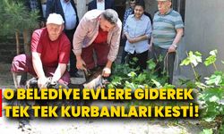 O Belediye Evlere Giderek Tek Tek Kurbanları Kesti!