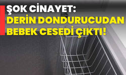 Şok Cinayet: Derin Dondurucudan Bebek Cesedi Çıktı!