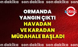 Ormanda Yangın Çıktı Havadan Ve Karadan Müdahale Başladı
