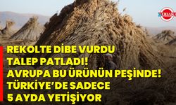 Rekolte Dibe Vurdu, Talep Patladı! Avrupa Bu Ürünün Peşinde! Türkiye’de Sadece 5 Ayda Yetişiyor