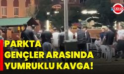 Parkta Gençler Arasında Yumruklu Kavga!
