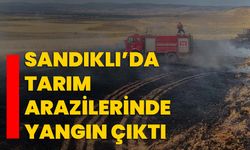 Sandıklı’da tarım arazilerinde yangın çıktı