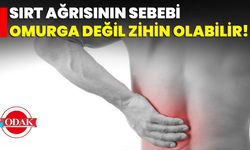 Sırt Ağrısının Sebebi Omurga Değil Zihin Olabilir!