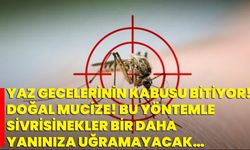 Yaz Gecelerinin Kabusu Bitiyor! Doğal Mucize! Bu Yöntemle Sivrisinekler Bir Daha Yanınıza Uğramayacak…