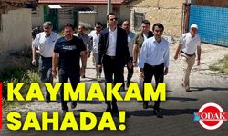Kaymakam sahada!