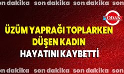 Üzüm Yaprağı Toplarken Düşen Kadın Hayatını Kaybetti