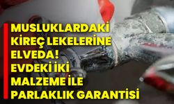 Musluklardaki Kireç Lekelerine Elveda! Evdeki İki Malzeme ile Parlaklık Garantisi