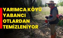 Yarımca köyü yabancı otlardan temizleniyor