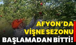Afyon’da Vişne Sezonu Başlamadan Bitti!