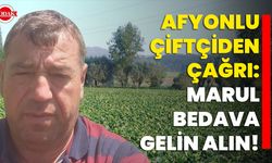 Afyonlu Çiftçiden Çağrı: Marul Bedava, Gelin Alın!