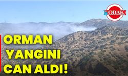 İzmir’de orman yangını can aldı!