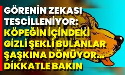Görenin Zekası Tescilleniyor: Köpeğin İçindeki Gizli Şekli Bulanlar Şaşkına Dönüyor… Dikkatle Bakın