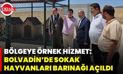 Bölgeye Örnek Hizmet: Bolvadin’de Sokak Hayvanları Barınağı Açıldı